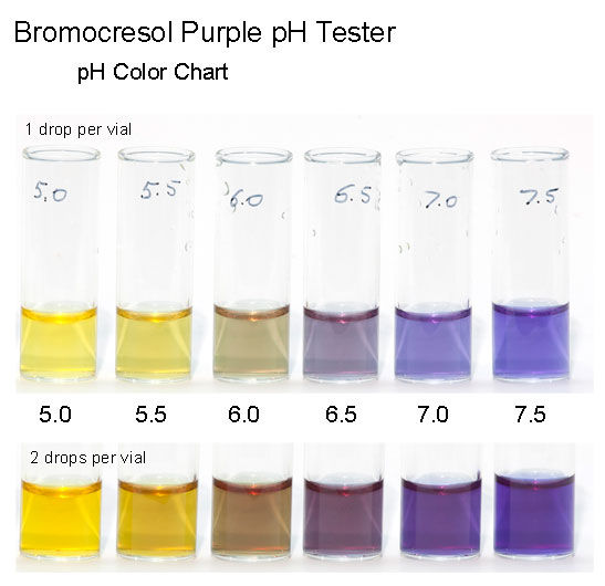 Bromcresol Purple pH test
